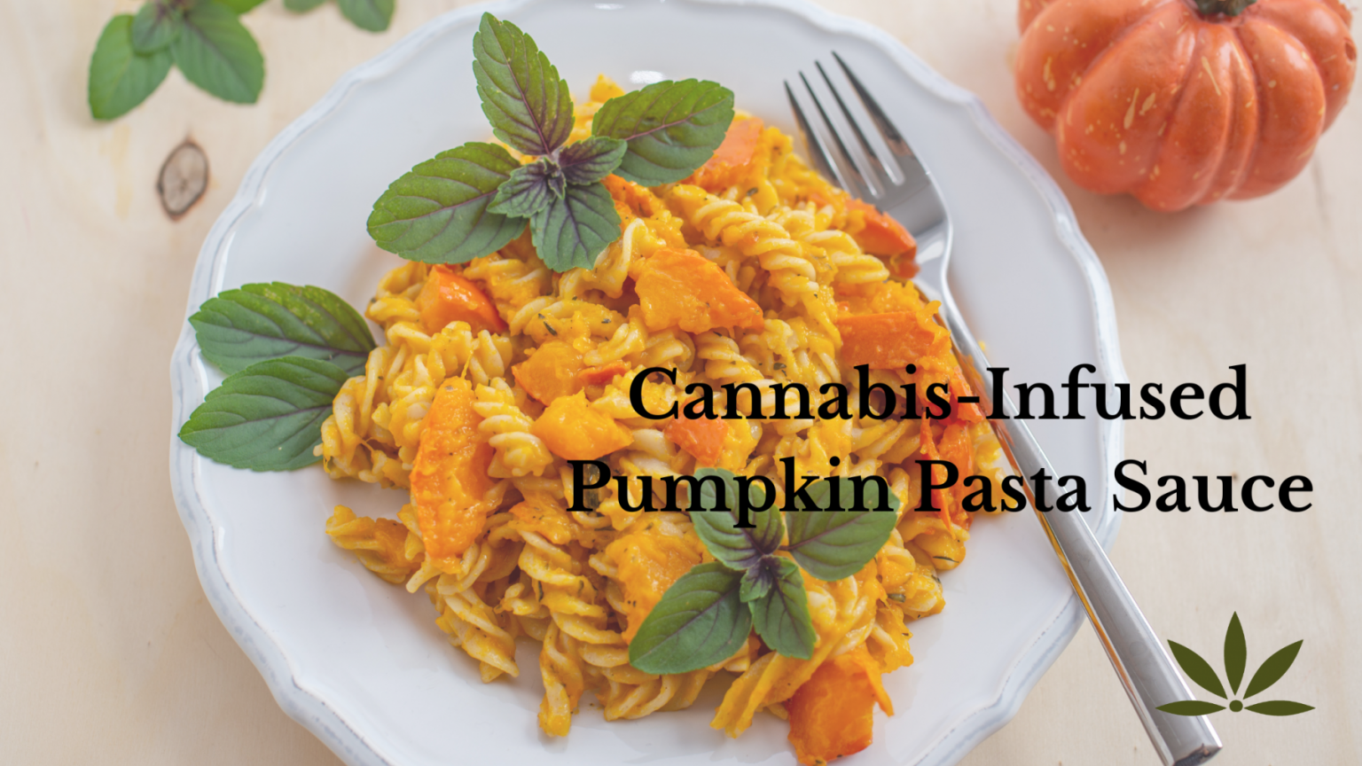 Recipe Cannabis Infused Pumpkin Pasta Sauce Compassionate Clinics Of