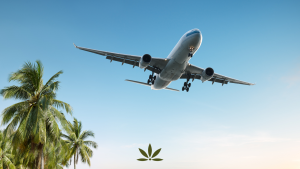 Traveling with Medical Cannabis