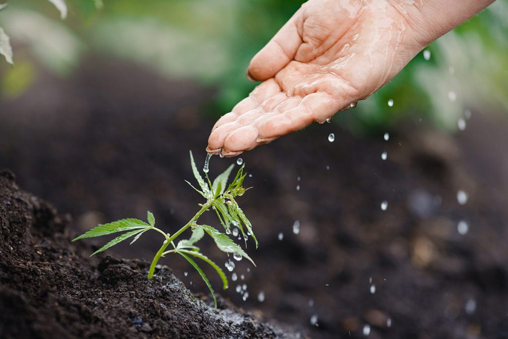 Grow-Soil