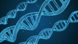 Cannabis DNA Testing