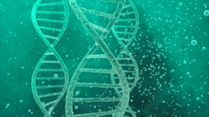 Cannabis DNA Testing