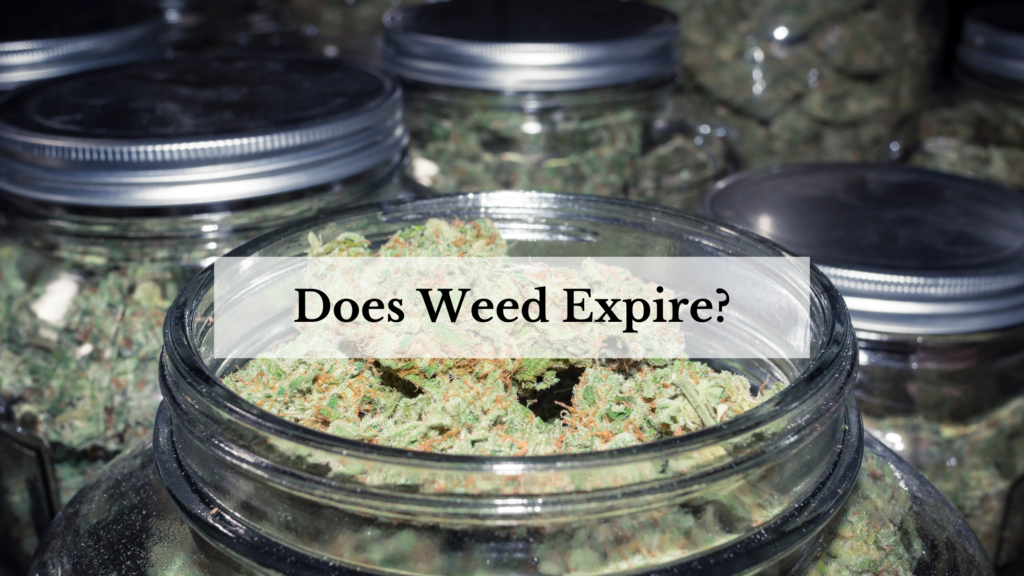 Does Weed Expire?