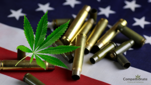 medical marijuana and gun ownership