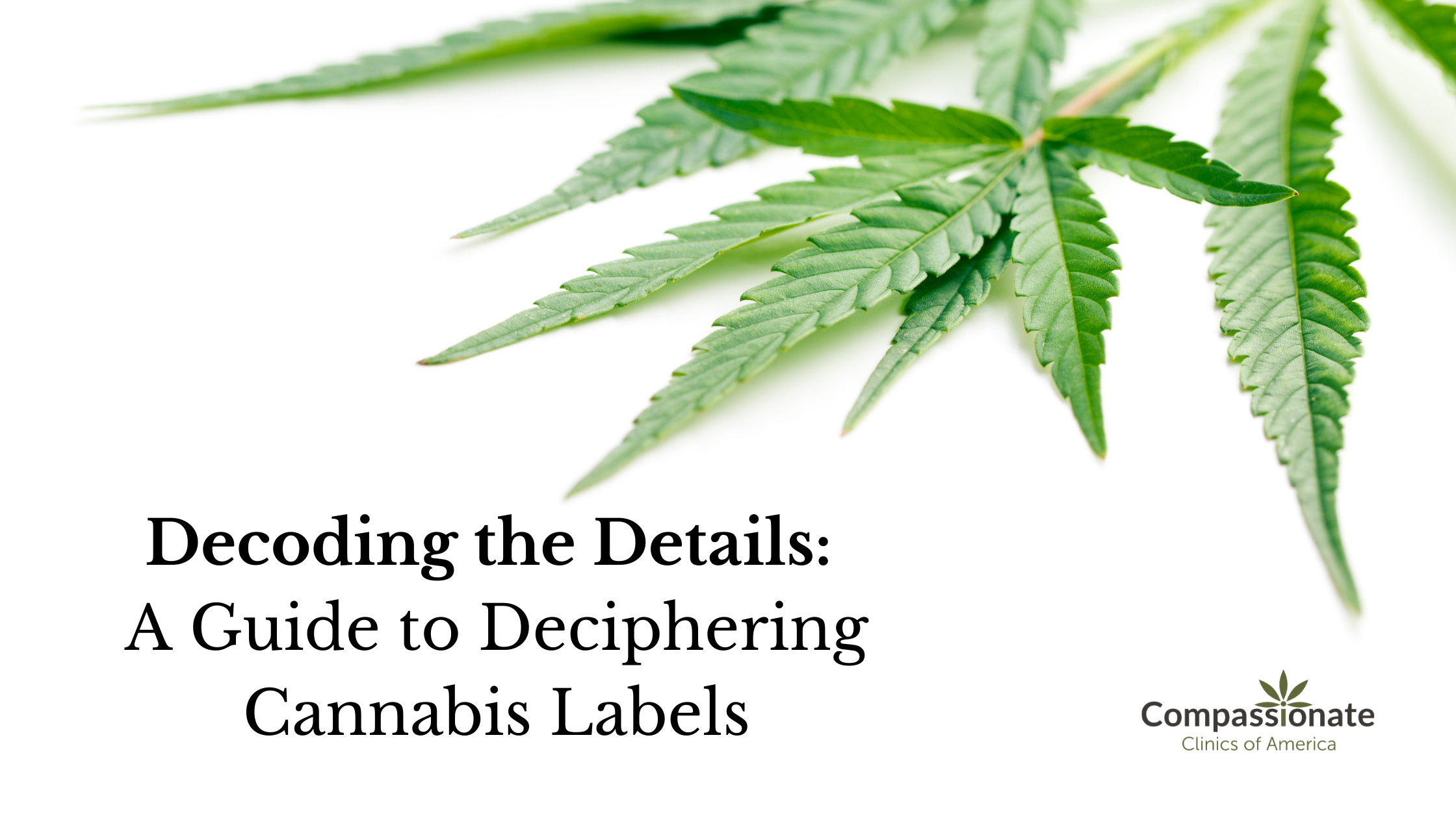 Reading cannabis labels