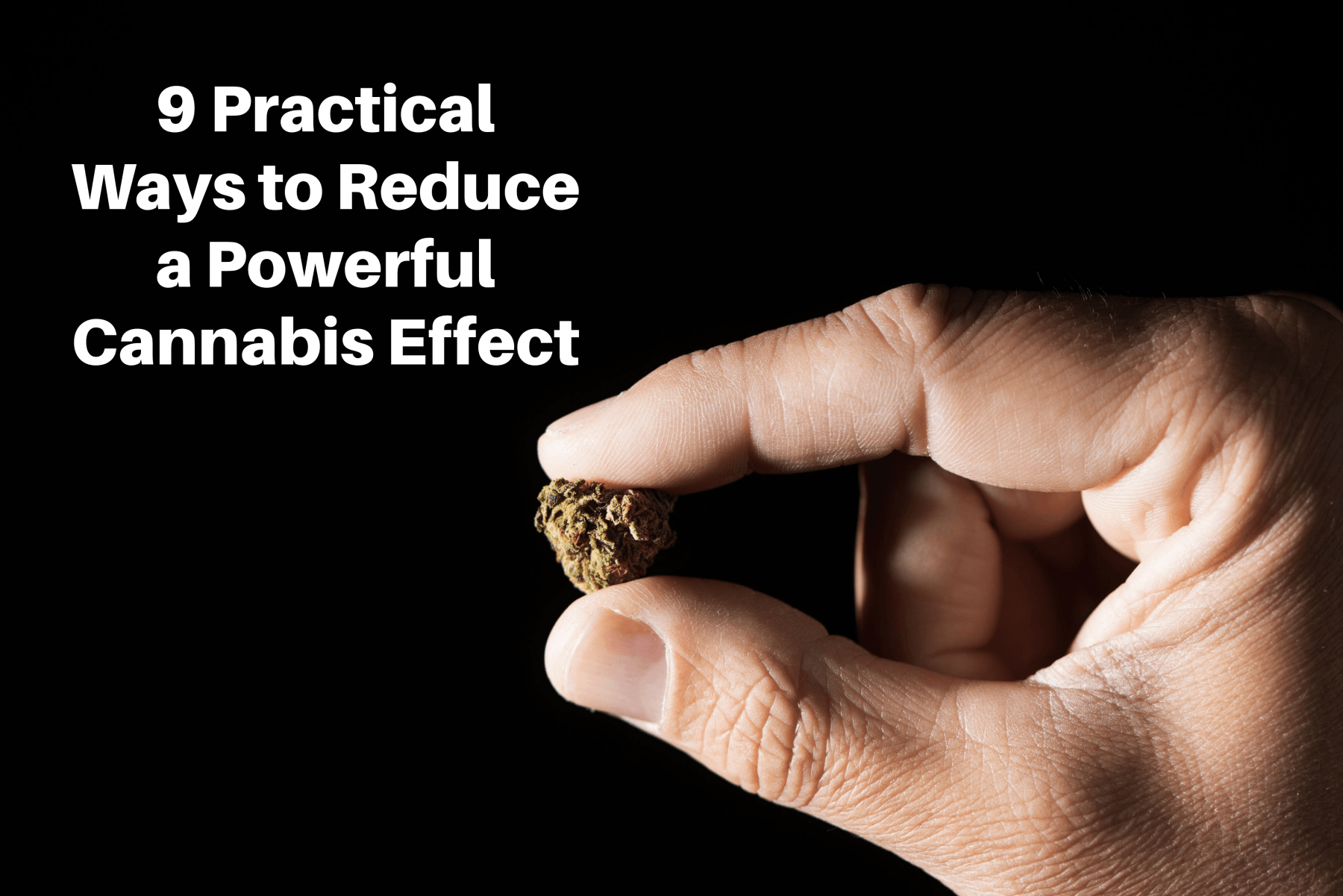 Is 10mg Of Thc-a Day Too Much Too Much THC? 9 Practical Ways to Reduce a Powerful Cannabis Effect