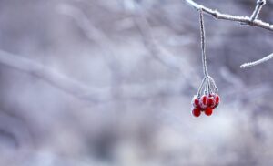 Joint Pain as Temps Drop: Topicals, Heat, and Mobility Basics