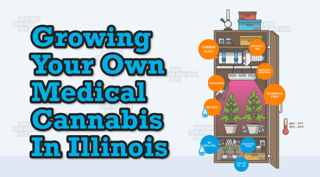 Growing Your Own Medical Cannabis In Illinois